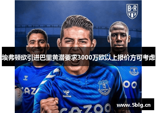 埃弗顿欲引进巴里黄潜要求3000万欧以上报价方可考虑